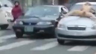 人之初 性本善 人之初 性本善
