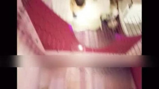 粉色的情趣床上裹着的是单男和女友的肉体 粉色的情趣床上裹着的是单男和女友的肉体