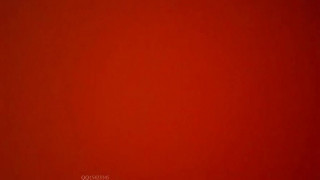 BJ_17032911 BJ_17032911