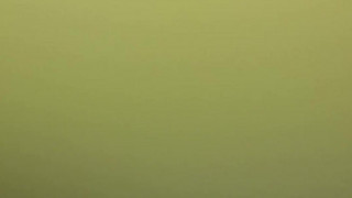 8 8