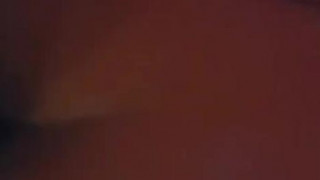 ジンゴロ ジンゴロ