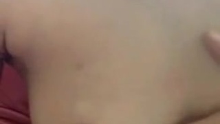 自摸 自摸