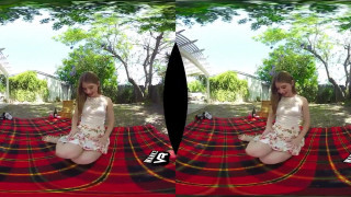 Wankz- Backdoor Picnic Wankz- Backdoor Picnic