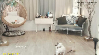 APPLE - KBJ KOREAN BJ 2017063002 - 2 APPLE - KBJ KOREAN BJ 2017063002 - 2