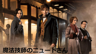 魔法技師のニュートさん 魔法技師のニュートさん