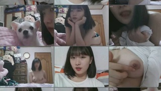 KBJ KOREAN BJ 2017122207 KBJ KOREAN BJ 2017122207