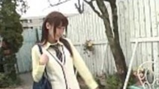 シャギー法的年齢の十代の猫が殴られる シャギー法的年齢の十代の猫が殴られる