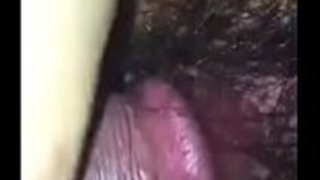 ブーニーズ ブーニーズ