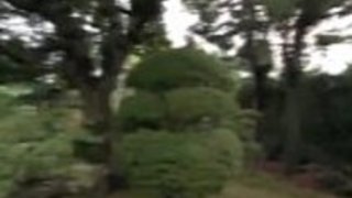 アンナ・アンジョが屋外ショーでコックを吸うつもりです アンナ・アンジョが屋外ショーでコックを吸うつもりです