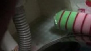 毛むくじゃらのアジアンラビングボックス 毛むくじゃらのアジアンラビングボックス