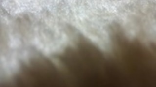 JPNセクシーマイ妻 JPNセクシーマイ妻