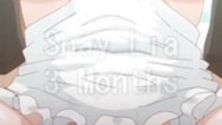 純粋な甘味HMV 純粋な甘味HMV