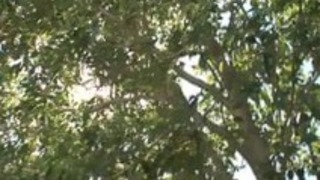 WUe8iR714o-1.mp4 WUe8iR714o-1.mp4