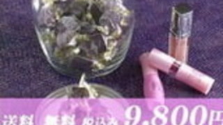 2人の素敵な女の子がフェラチオスキルをテストします 2人の素敵な女の子がフェラチオスキルをテストします